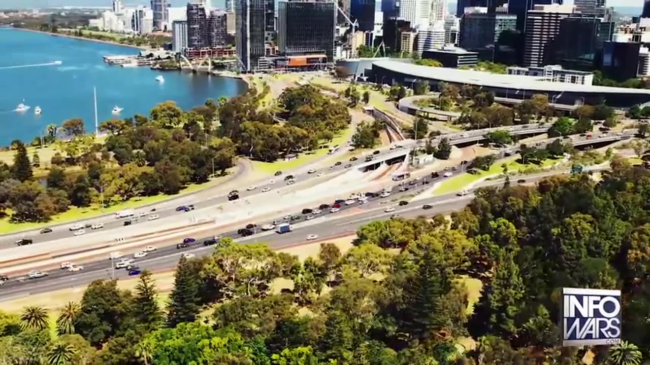 Bowne Report - What Really Happened To Virginia_