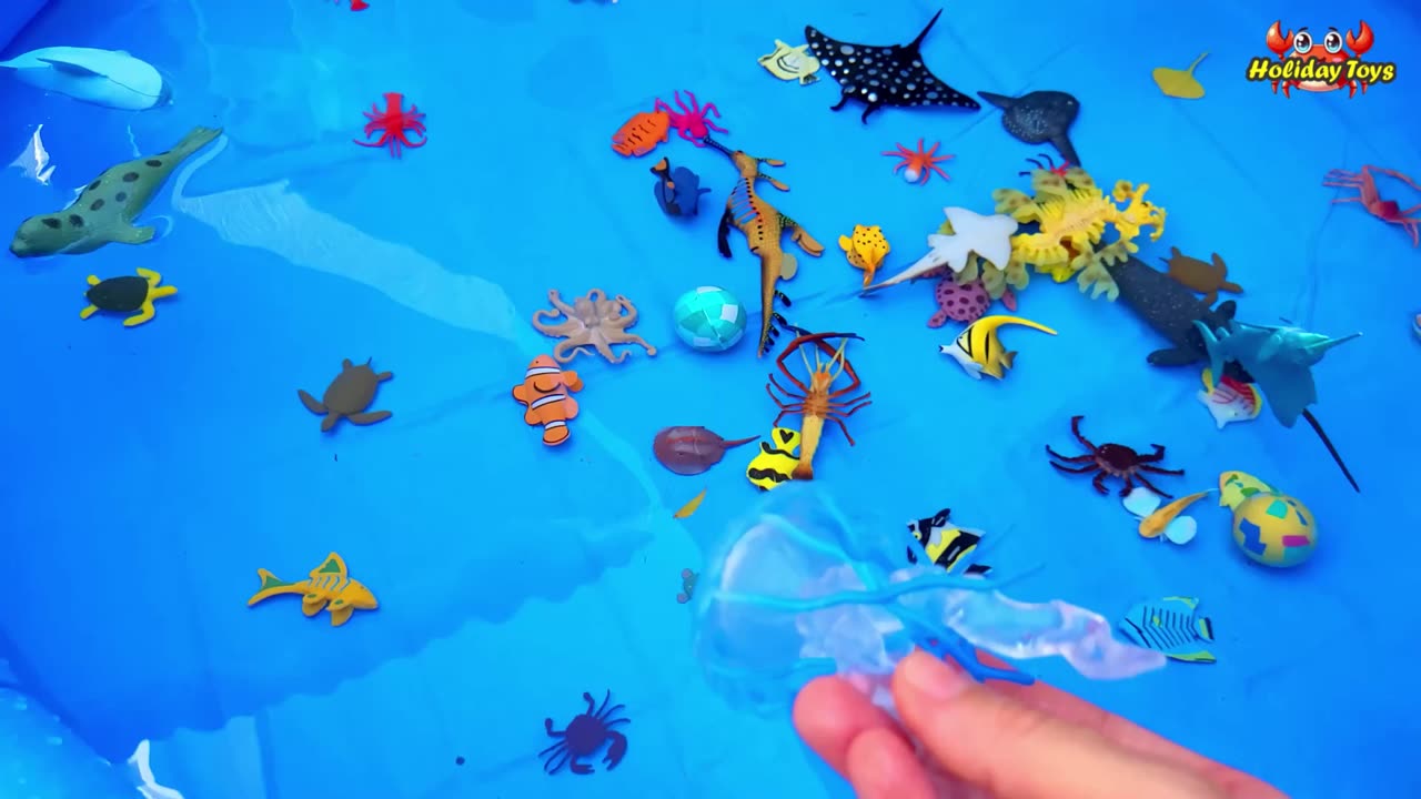 Blue Tangs Look for Worms Hiding in Wet Soil