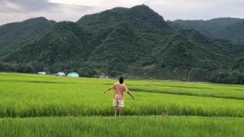 natural View