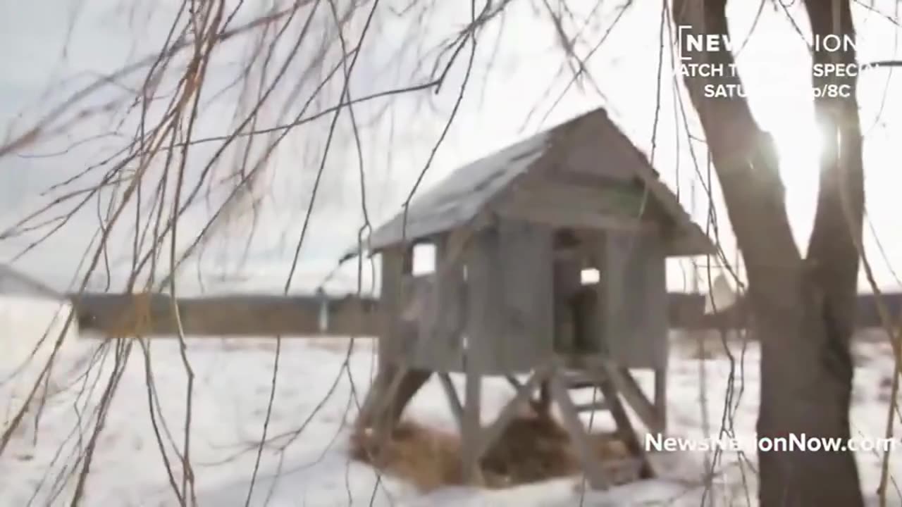 so is the land really poisoned or is it the clot shot and shit like bovaer