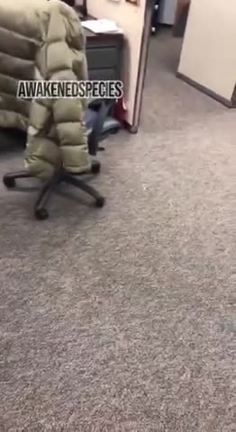 The Clothes You Wear...