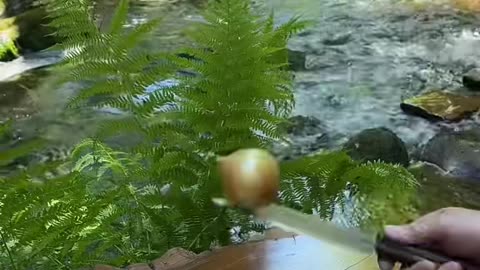 Latest food video