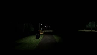 The Man In The Park 2