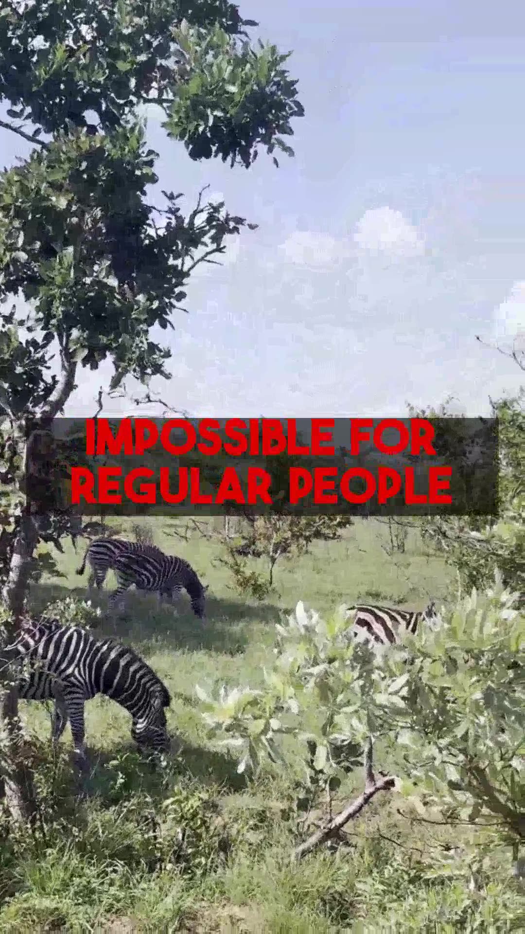 Essential Botswana Solo Travel On A Budget