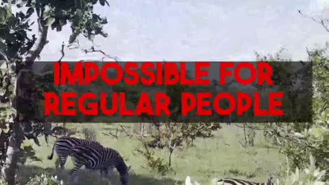 Essential Botswana Solo Travel On A Budget