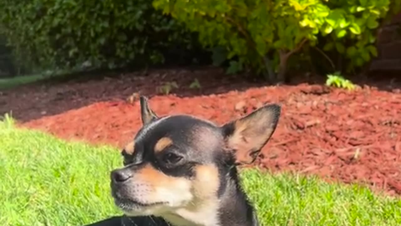A star is born. Sound on.