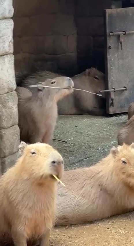 Somebody was kung fu fighting