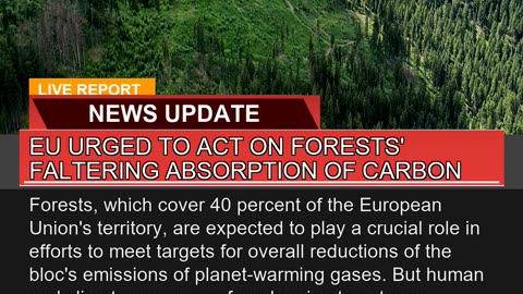 EU Urged to Act on Forests Faltering Absorption O