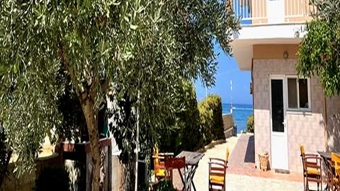 My Greek Villa Had a Gorgeous Olive Tree and Now