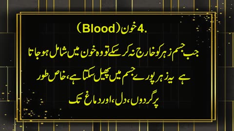 Urdu Quiz -Islamic Questions and Answers Urdu-Islamic Paheli - Islami Sawal O Jawab-M-Haider Studio7