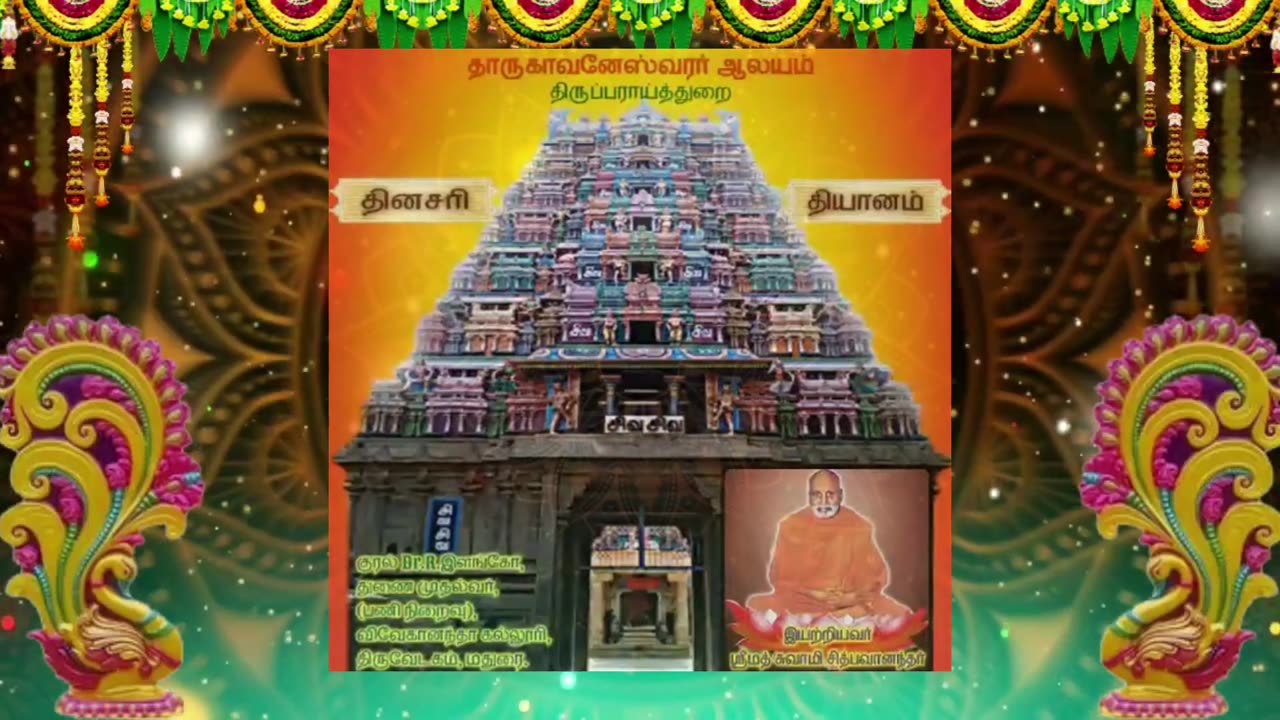 ஆகஸ்ட் 12 | கஸ்தூரி மான் | தினசரி தியானம்