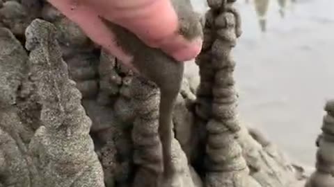 Satisfying video