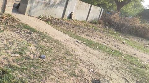 aedditional distric collector ne kidhu pan koi karya wahi nathi karta khota documents par