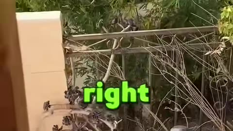 Husband Catches Cheating Wife With Hidden Camera..