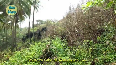 Exploring route to Cabo De Rama Beach through Forests