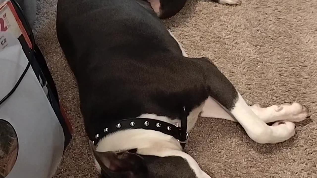 West Dallas 214-Korbd is having a bad Dream