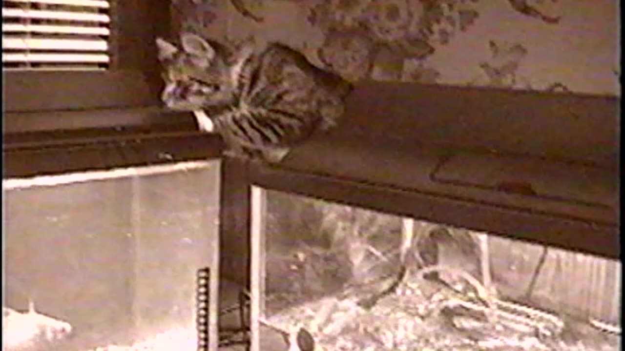2001-VA-Sep-1