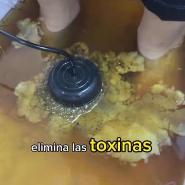 Desintoxicacion a travez de los Pies