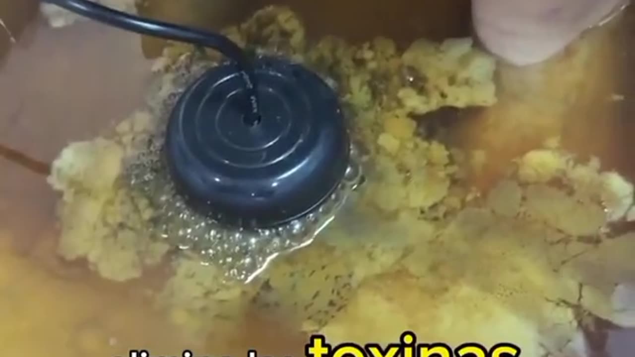 Desintoxicacion a travez de los Pies