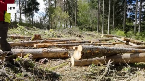 Discover the Beauty Beyond the Map