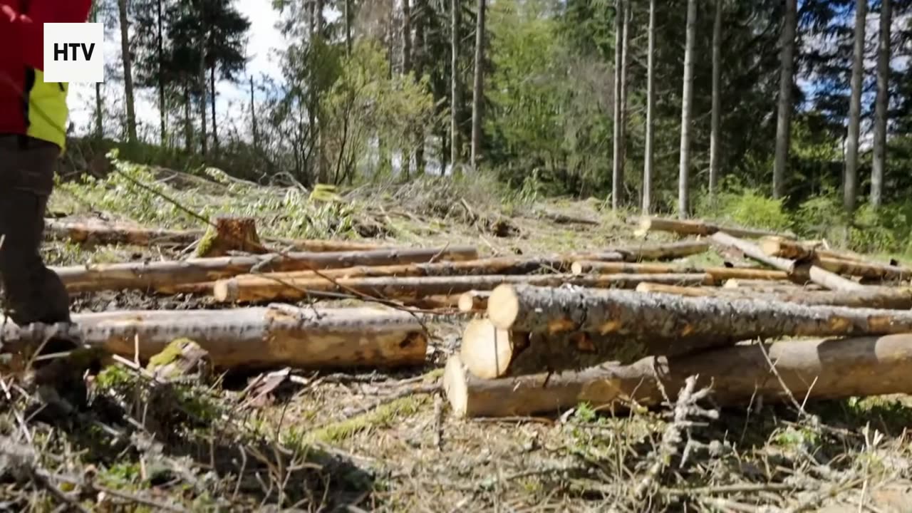 Discover the Beauty Beyond the Map