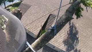 😱🤣 House Too Close Can't Avoid It! | FunFM