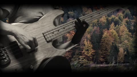 Teiichi Okano - Momiji(Japanese Maple) / Bass solo