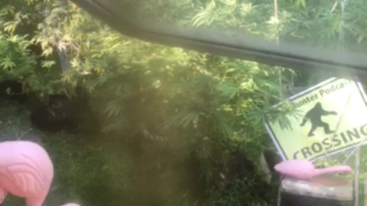 Derek Hunter WMAL 09/22/25 DJT speaks about Tylenol/ acetaminophen’s autism kids