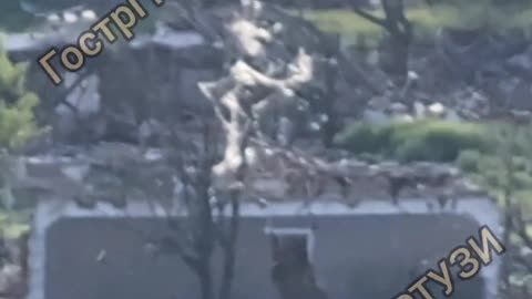 🌳🔌 Ukraine Russia War | Ukrainian Soldier Finds Fiber Optic Tree | RCF