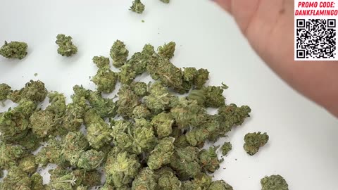 New Dank Dream from THCASMALLBUDS COM! Dankin with the Flamingos Review!!