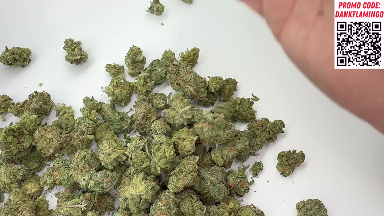 New Dank Dream from THCASMALLBUDS COM! Dankin with the Flamingos Review!!