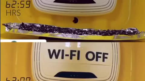 Wifi test on plant growth.
