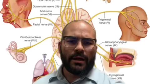 Blurred vision , vertigo and neck trauma | Neckwise upper cervical chiropractic