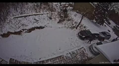 ICE Launches Armed Raids Across Minnesota Targeting Illegal Somalis