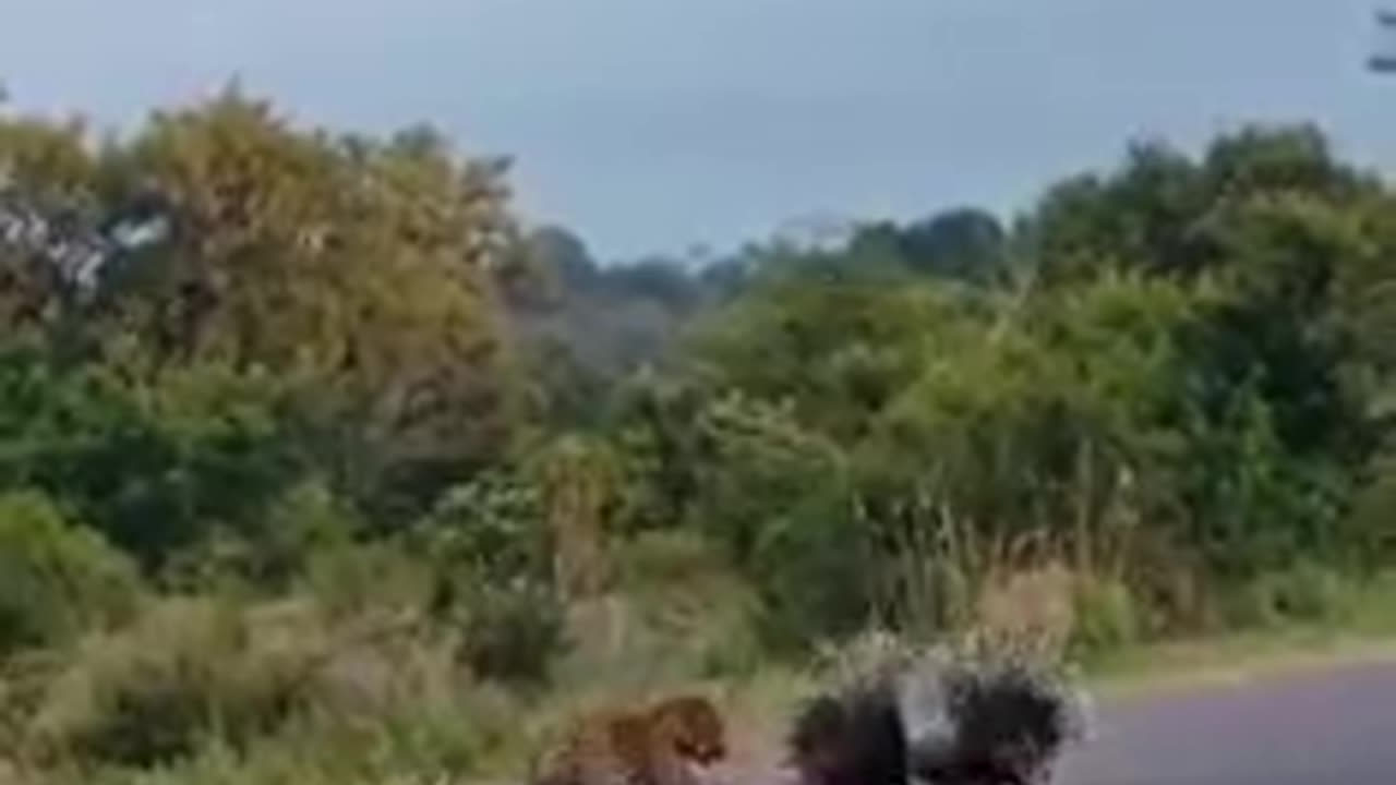 Mother's protection for children