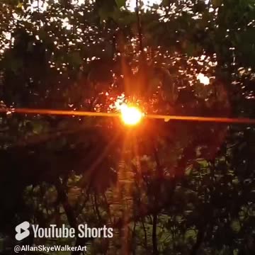 Always A ' Sun Day ' ✨✨✨