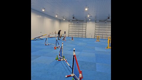 Kenji Agility training