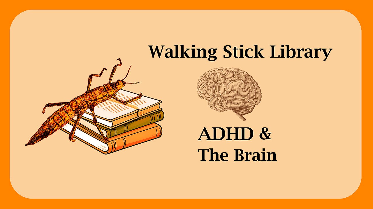 ADHD and the Brain