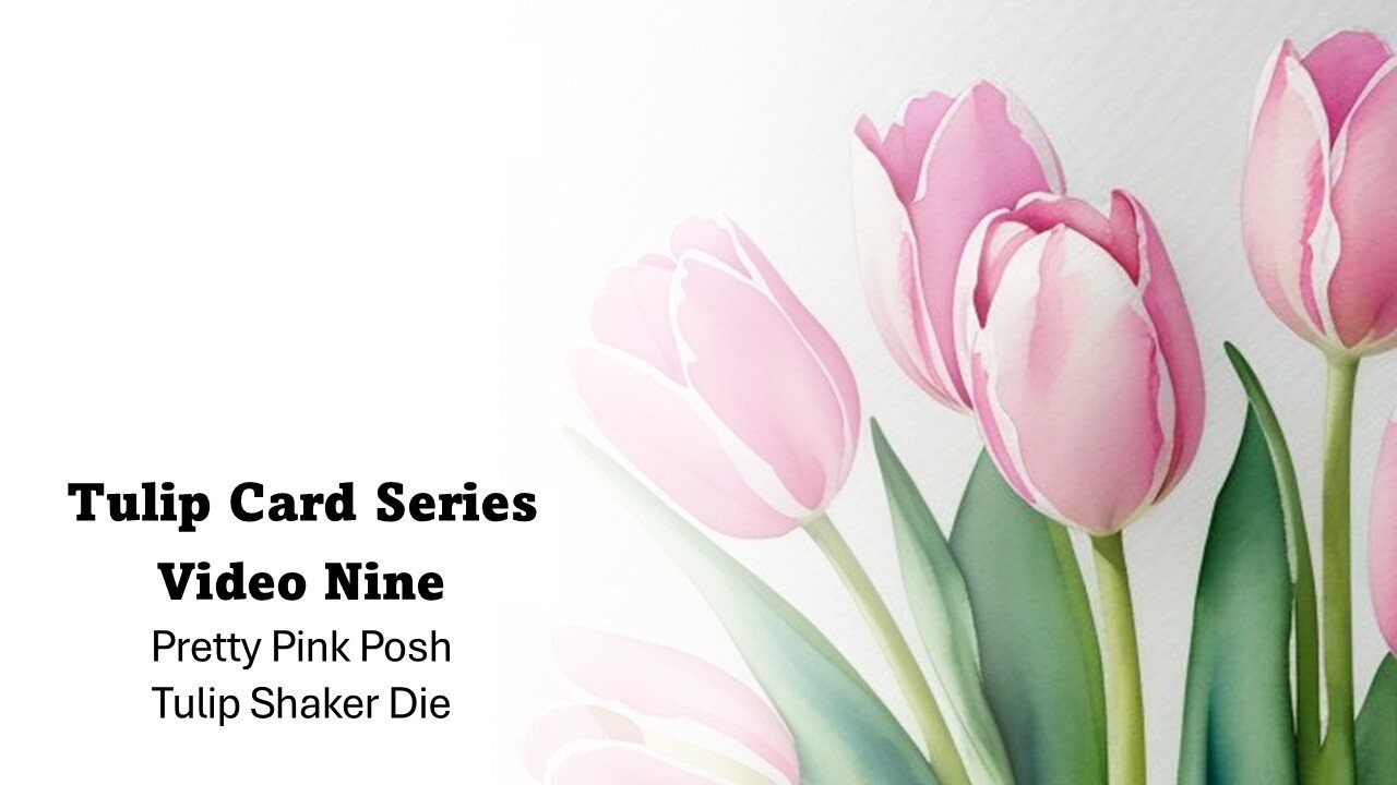 Tulip Card Series | Video Nine