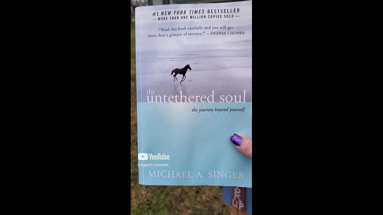 Donating The Untethered Soul