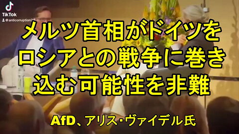 AfDのヴァイデル、「ドイツはロシアなしでは繁栄できない」