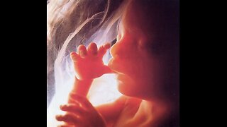 Birth Stories-Healing The First Trauma Of Life With Cherionna Menzam-Sills
