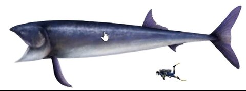 The Fish that ate Jonah?