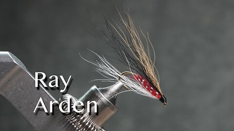 Ray Arden streamer fly pattern