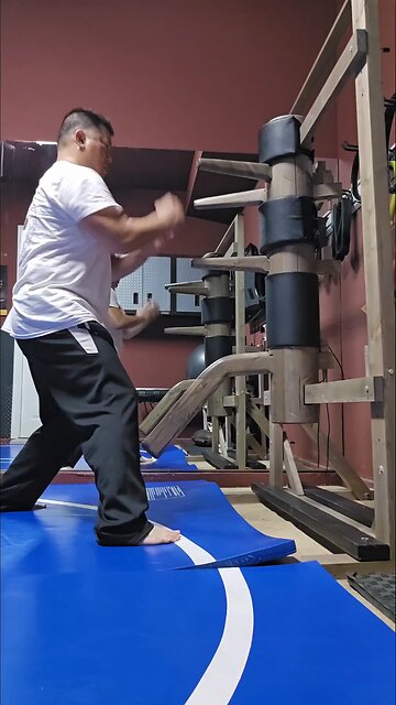 WTD Wooden Dummy Combination 20