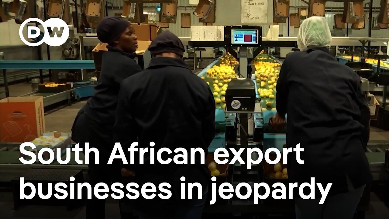 Trump’s Tariffs Shake African Economies — Could It Get Worse? | DW News