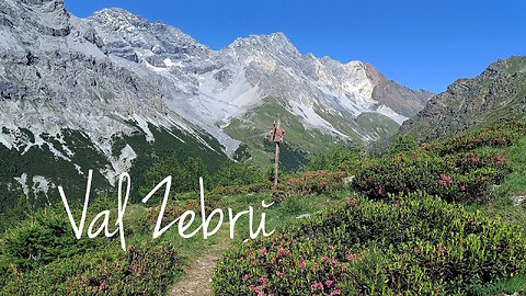 2025 | Zebrù Trek