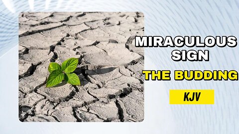 God's Miraculous Sign: The Budding