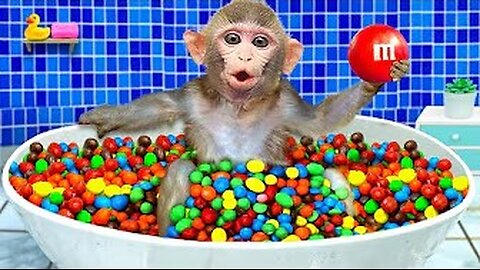 KiKi Monkey bath in the Rainbow BathTub full of M&M candy and play with ducklings