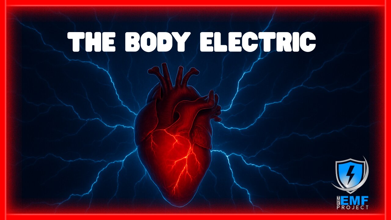 The Body Electric: How Bioelectricity Shapes Human Health and Identity